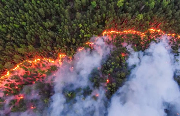 Incêndios florestais e DPOC: um alerta para pacientes com doenças respiratórias