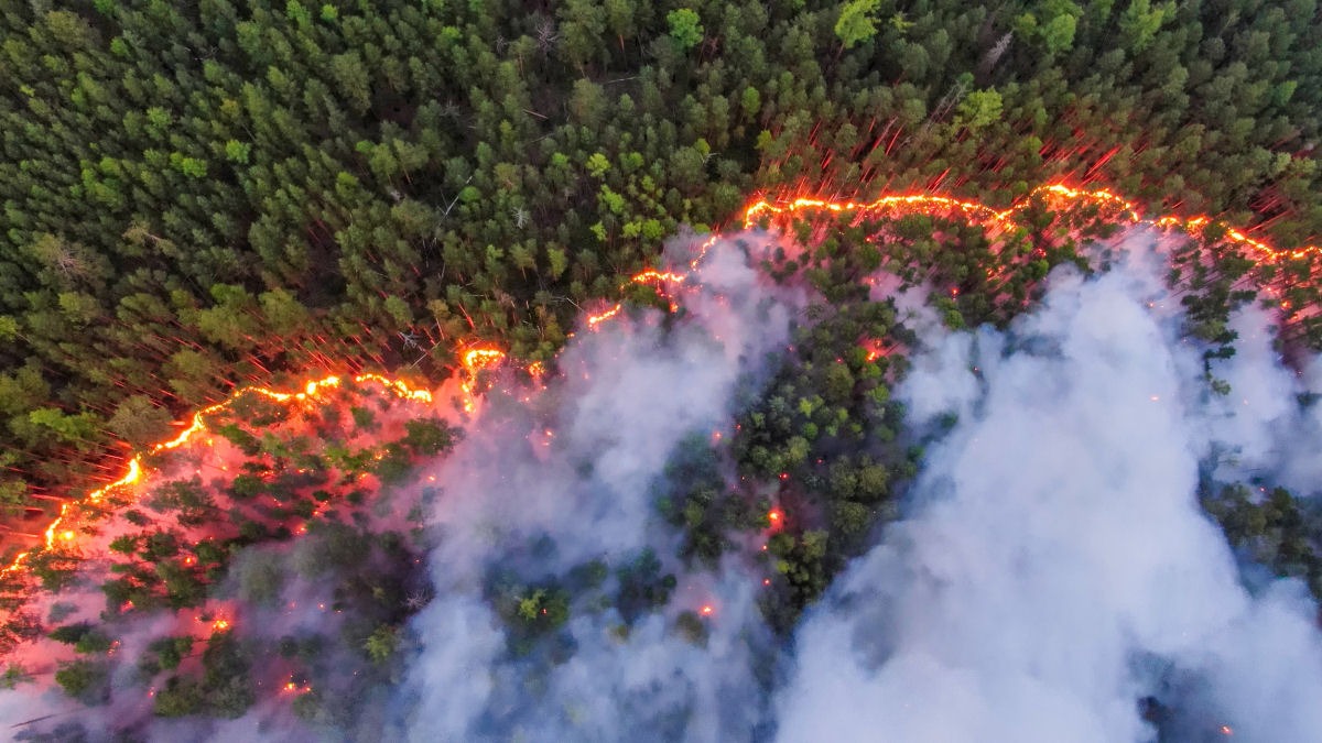 Incêndios florestais e DPOC: um alerta para pacientes com doenças respiratórias